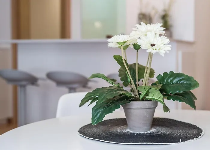 Lovelystay - 1br Flat W Ac And Balcony By Aliados Daire *