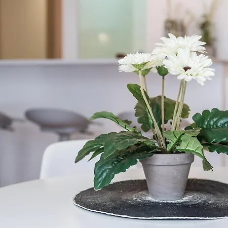 Lovelystay - 1br Flat W Ac And Balcony By Aliados Lägenhet *